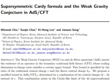 Advanced Series On Directions In High Energy Physics